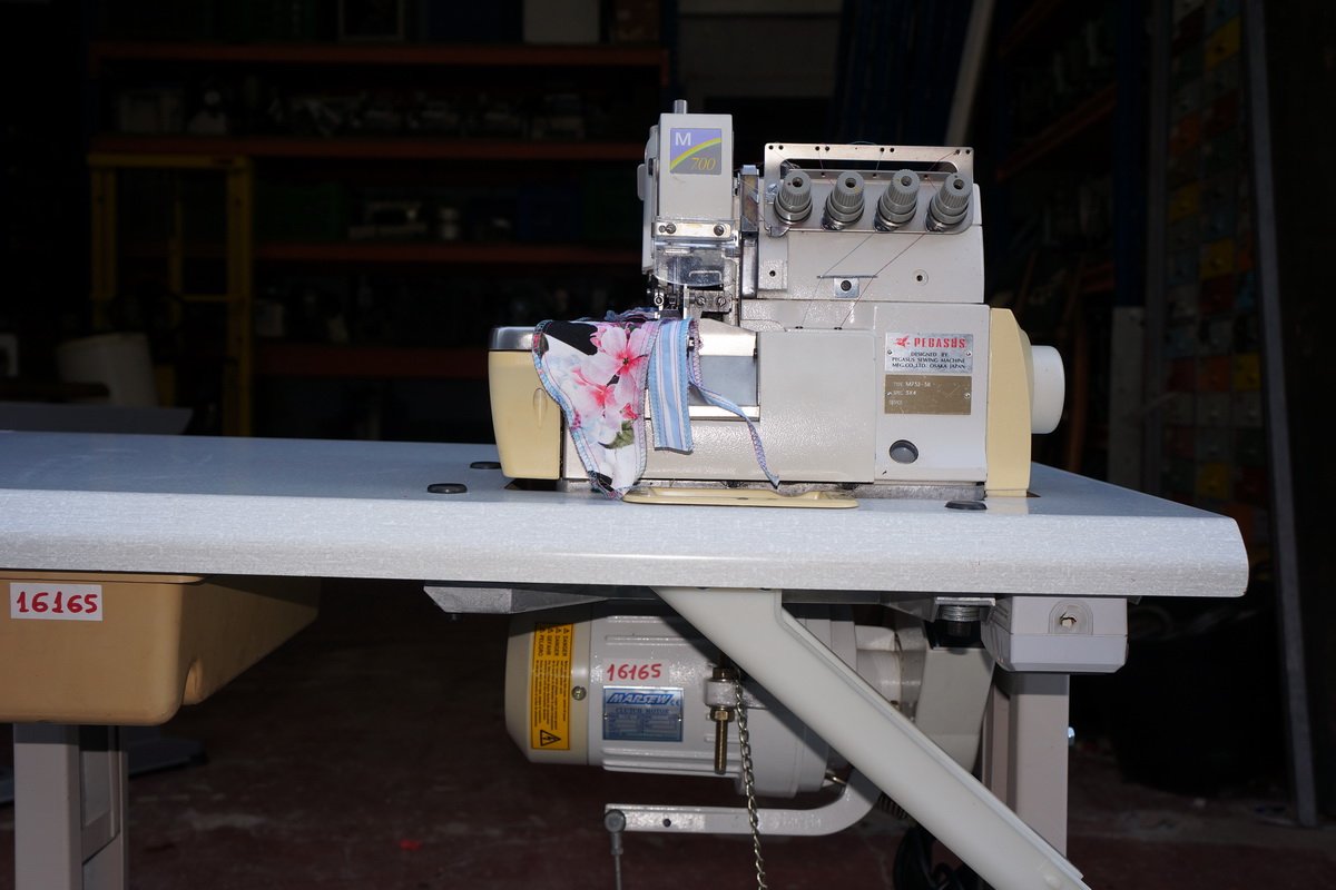 pegasus16165003.jpg